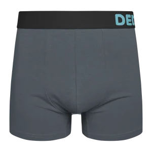 Calzoncillos básicos alegres Gris