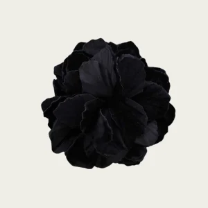 Flor Heloise Negro