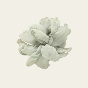 Flor Aguamarina Charmeur