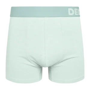 Bóxeres para hombre Verde menta